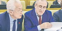 Фракция власти прирастает замами и комитетами