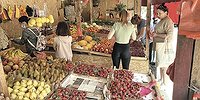 Отдых в Крыму: Туристов мало, цены падают, вот только добираться сложновато