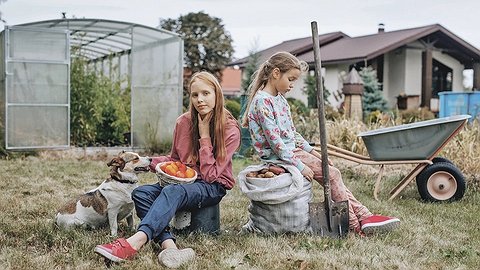 Россияне разлюбили огороды.